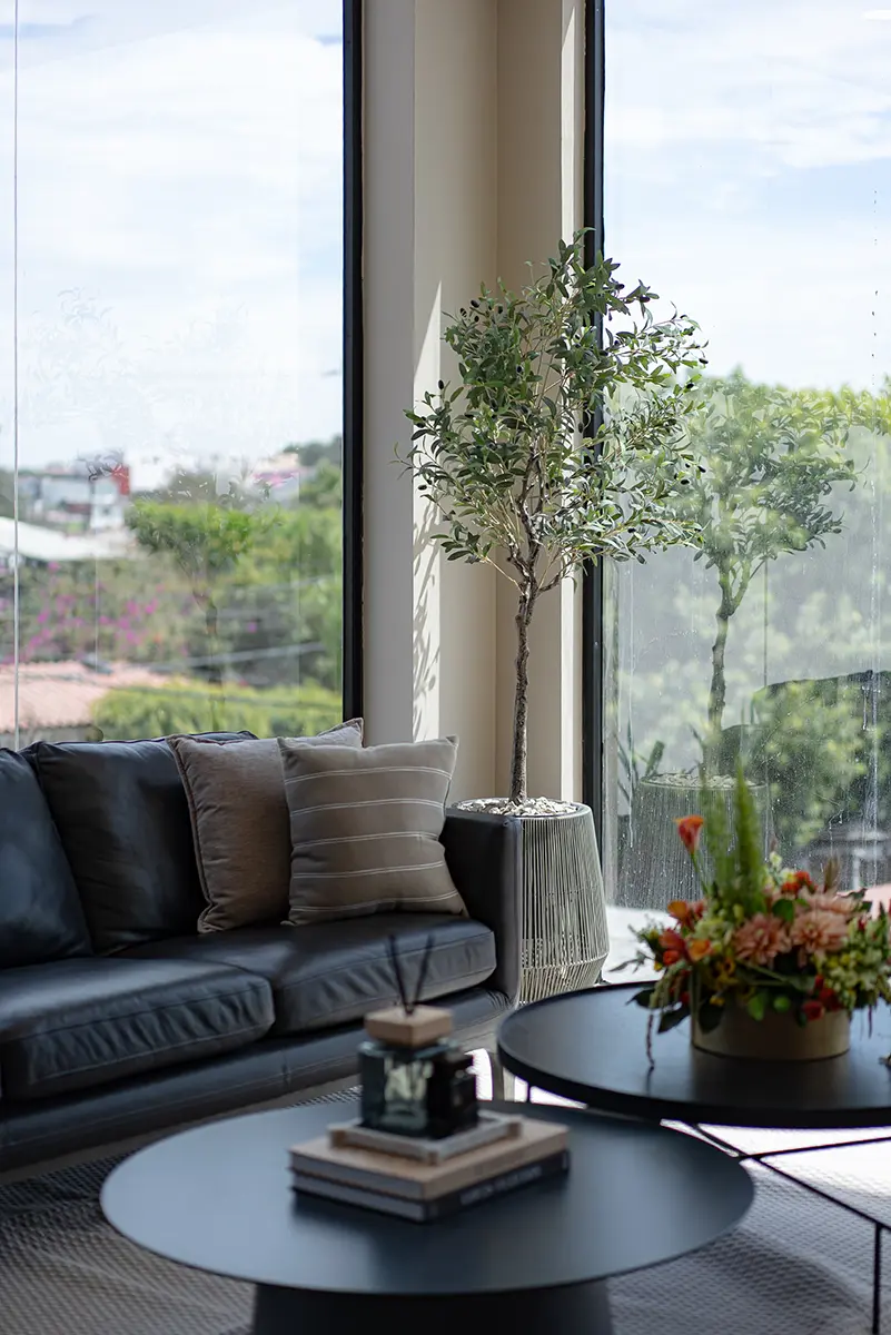 4 Los Cristales-Oppalo-Living Room